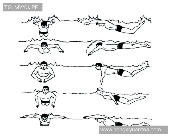 全面解析游泳教学方法与技巧，助力初学者快速掌握游泳技能