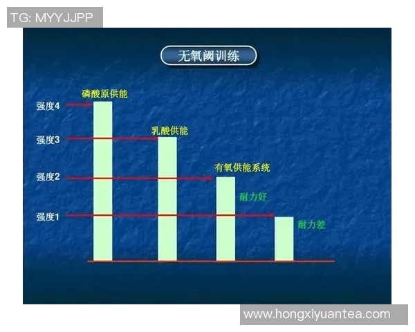 南京羽毛球队战术分析与发展策略探讨助力竞技水平提升
