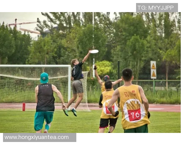 张丽专访：飞盘运动的成长与挑战回顾之旅