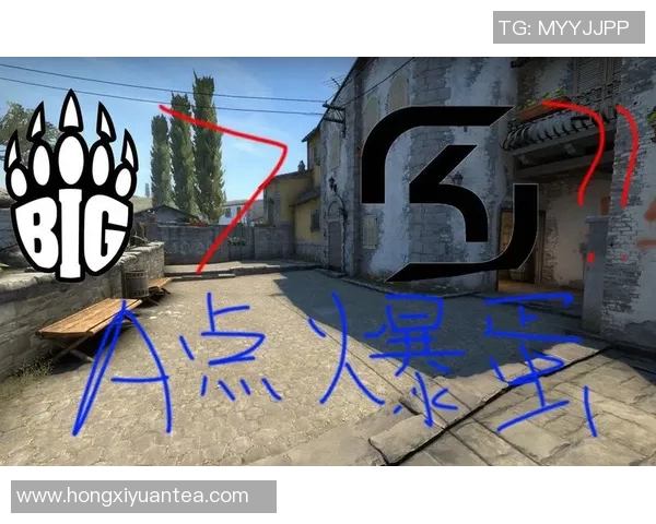 独家解析：BLG战队节奏对比与战术优势深度剖析