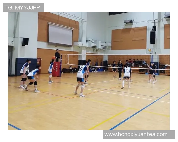 上海排球队引领排球意识新潮流最新TOP10榜单揭晓