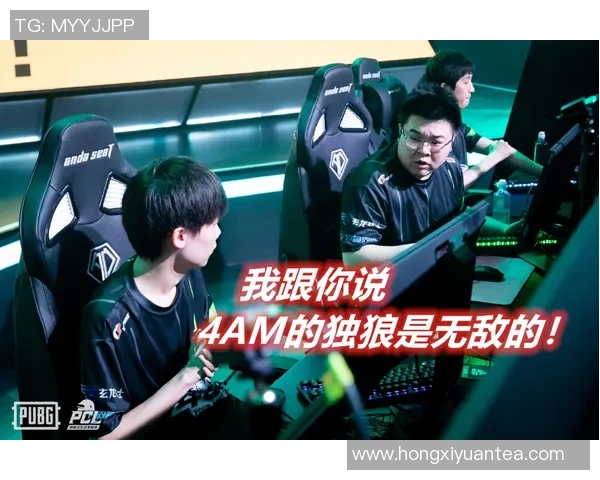 和平精英热议RNG比赛经验引发的争议与讨论分析