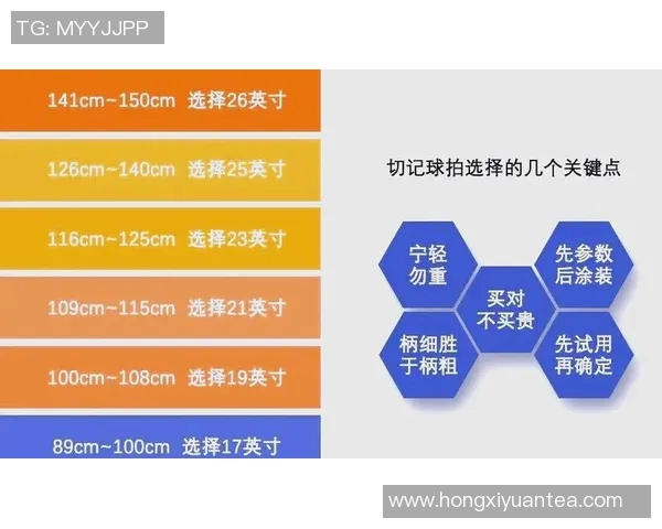 网球新手必看:从零基础到比赛高手的全面入门指南