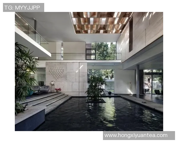 现代家居设计中的室内泳池创意方案与空间布局优化探索