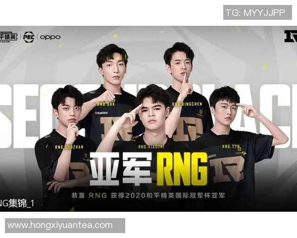和平精英战术解析：深入探讨RNG团队的全方位压制策略与执行力