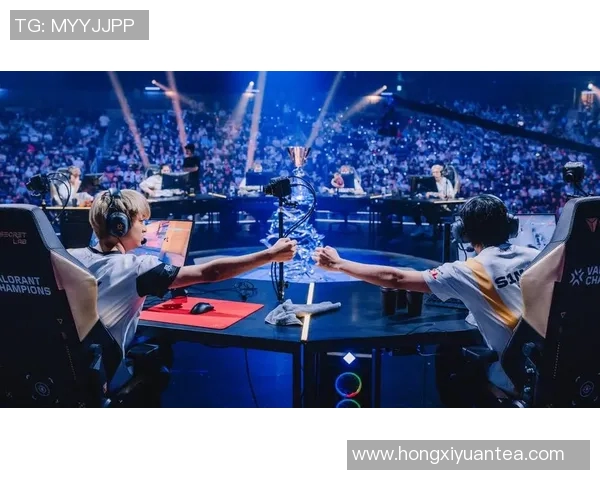 EDG在CSGO赛场上的崛起与实力分析探讨